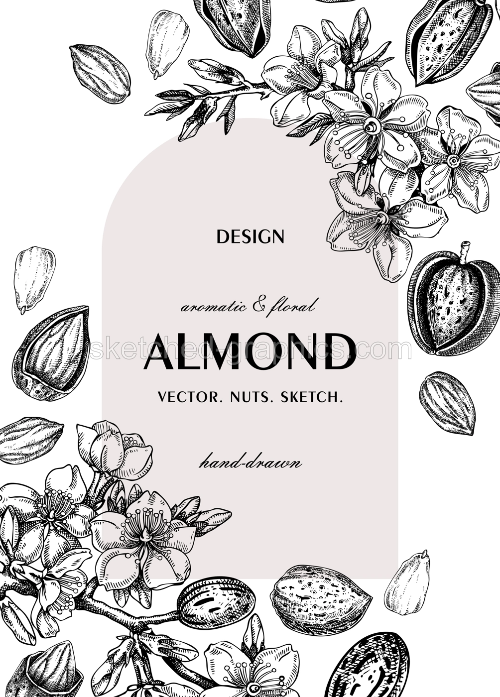 Almond nut frame, spring design. Blooming branches, nuts, flower sketches. Hand-drawn vector illustration. Greeting card or invitation template .  NOT AI generated Illustration